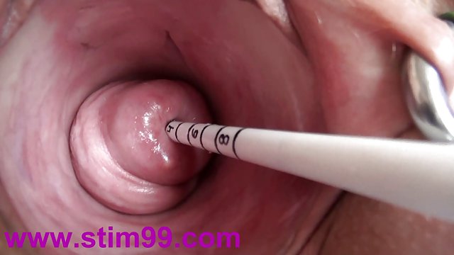 对博客宫颈部插入亚洲的小爪的水獭